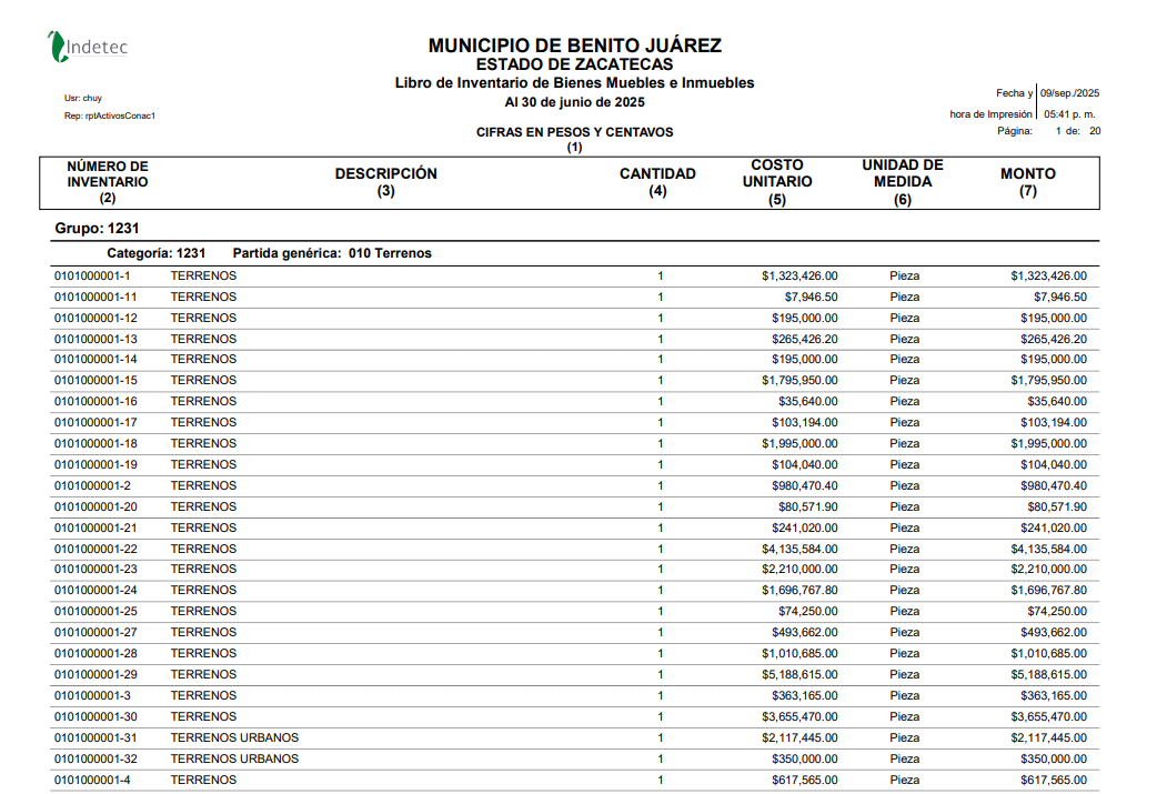 Imagen de BIENES MUEBLES E INMUEBLES