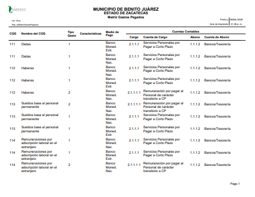 Imagen de MATRIZ DE GASTOS PAGADOS