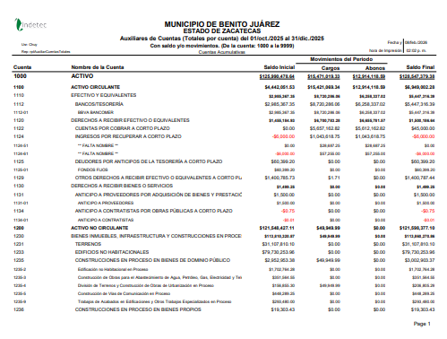 Imagen de AUXILIARES DE CUENTAS